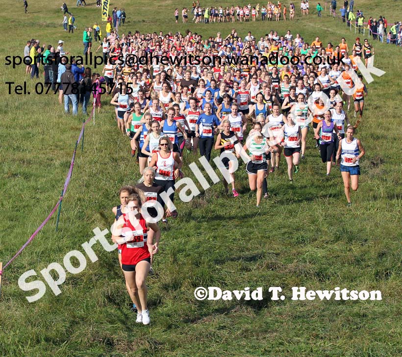 Senior womens start, North East Harrier League, Cramlington. Photo: David T. Hewitson/Sports for All Pics